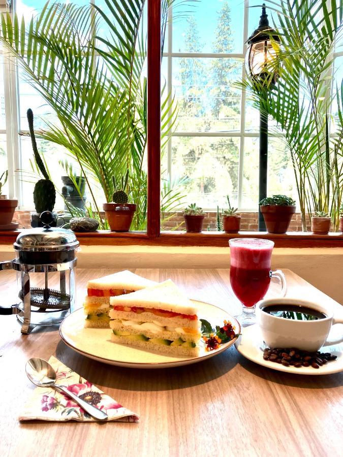 Hostel Quito Terrace Zewnętrze zdjęcie