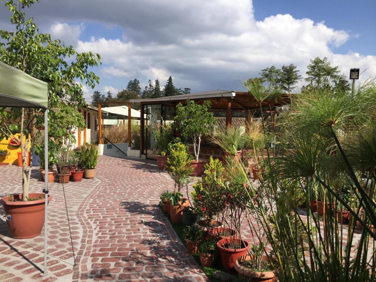 Hostel Quito Terrace Zewnętrze zdjęcie